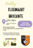 Flyer FC 72 Floumaart